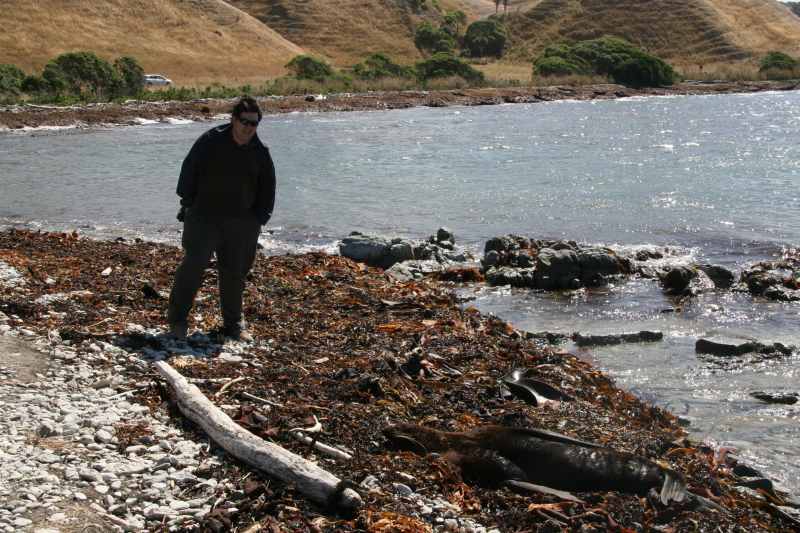 Nieuw-Zeeland 2011 - 1112